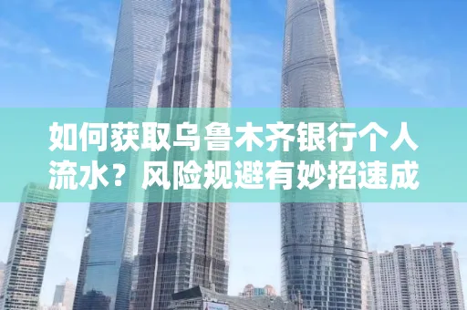 如何获取乌鲁木齐银行个人流水？风险规避有妙招速成？