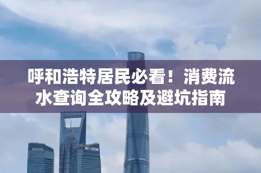 呼和浩特居民必看！消费流水查询全攻略及避坑指南