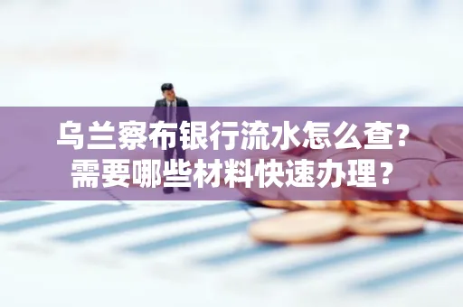 乌兰察布银行流水怎么查？需要哪些材料快速办理？