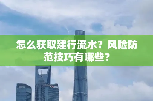 怎么获取建行流水？风险防范技巧有哪些？