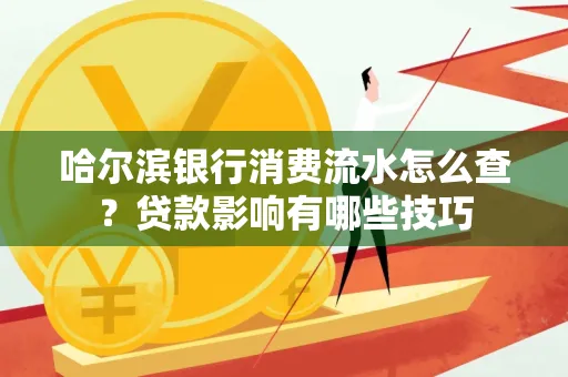 哈尔滨银行消费流水怎么查？贷款影响有哪些技巧